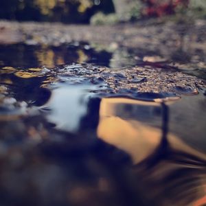 Meet your Posher, Eden